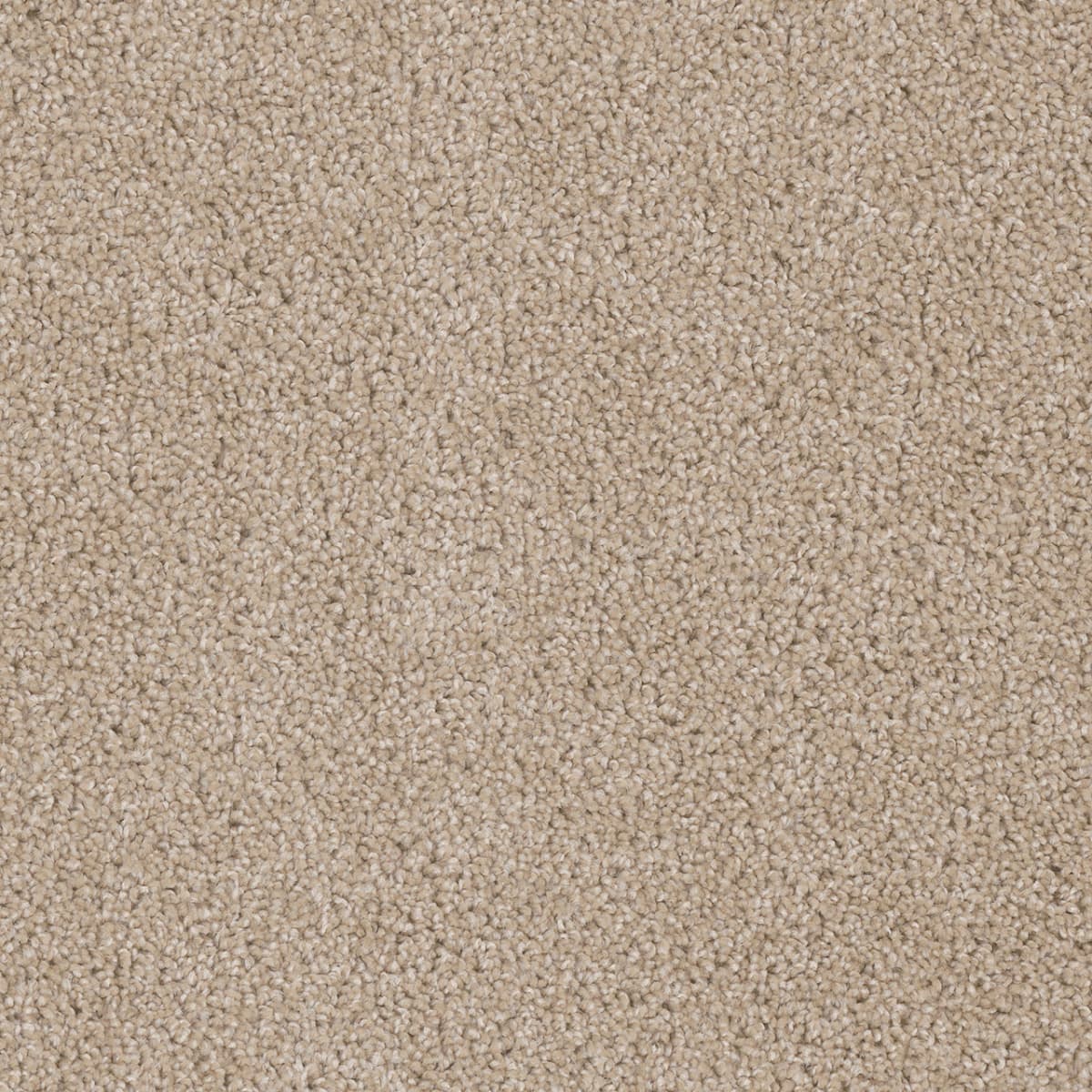 Cedar Creek Cashmere Cedar Creek Carpet flooring