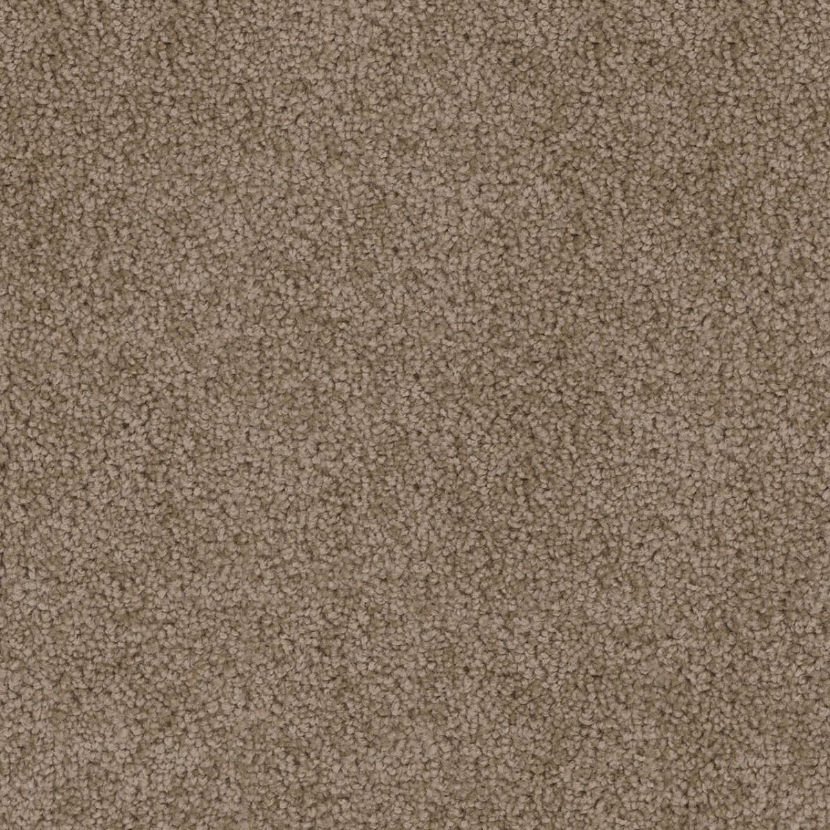 Cedar Creek Taupe Cedar Creek Carpet flooring