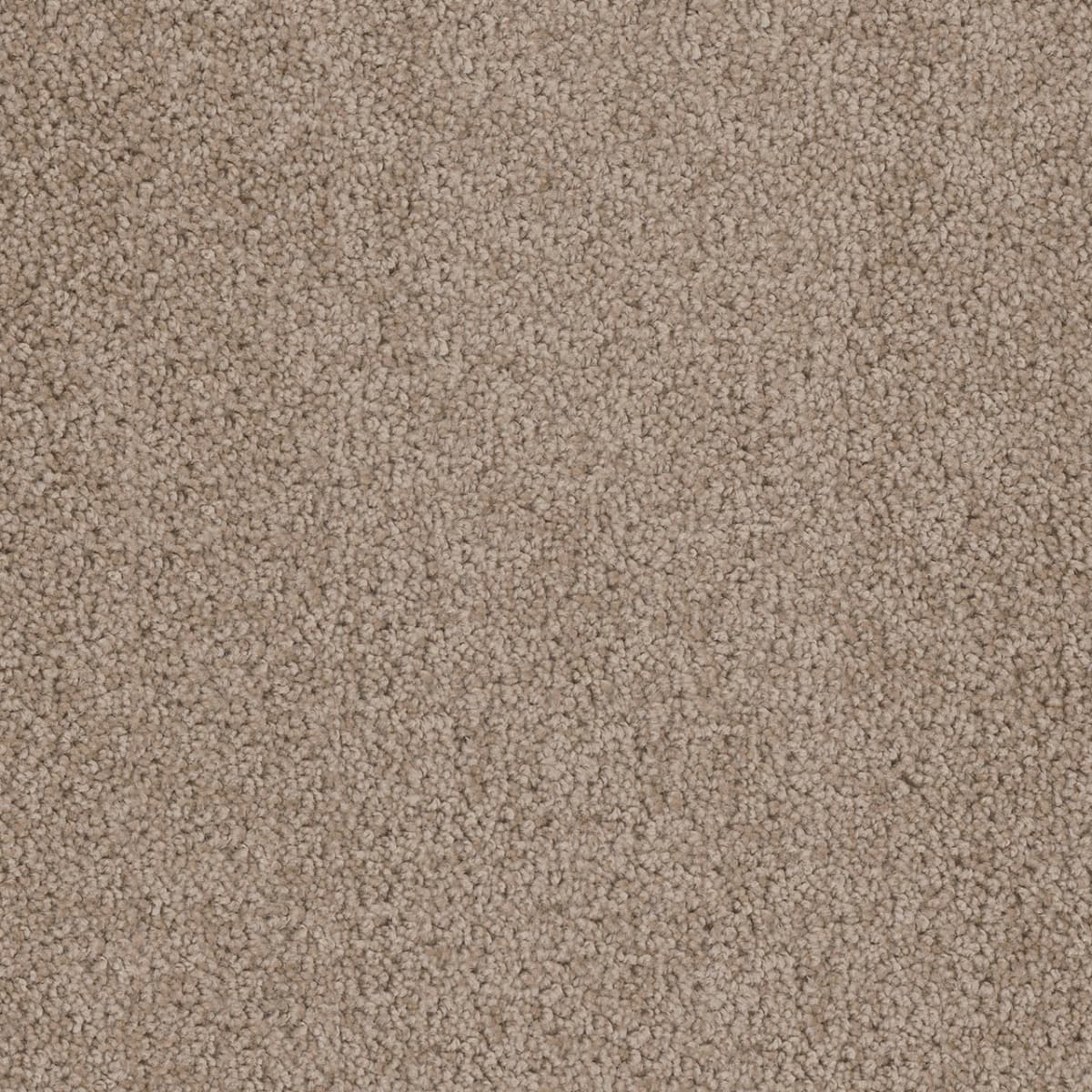 Cedar Creek Doeskin Cedar Creek Carpet flooring