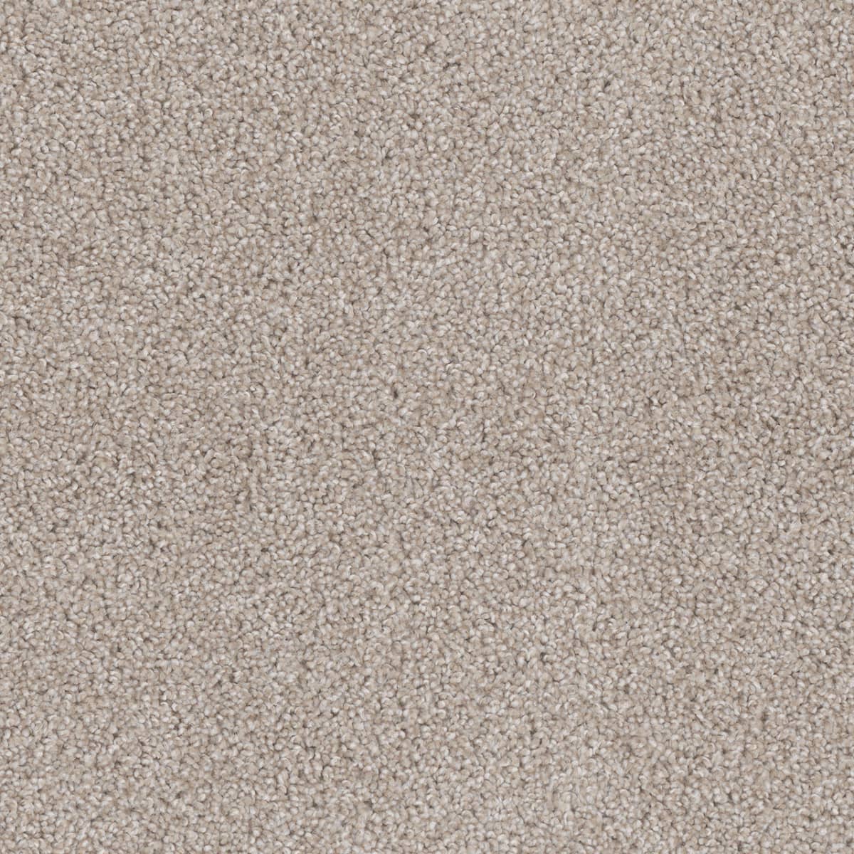 Cedar Creek Cameo Cedar Creek Carpet flooring