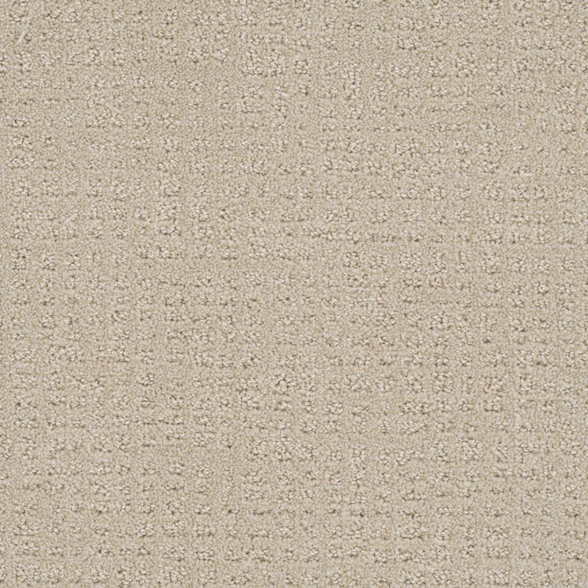 Common Ground Champagne Fizz Common Ground Carpet flooring