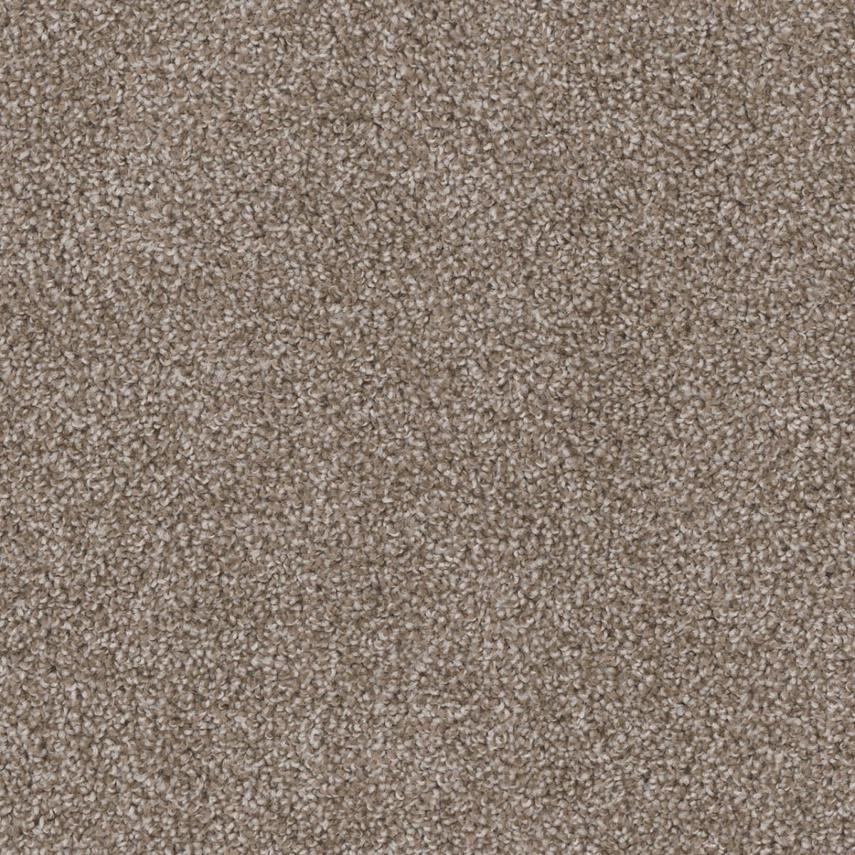 Cedar Creek Harbor Cedar Creek Carpet flooring