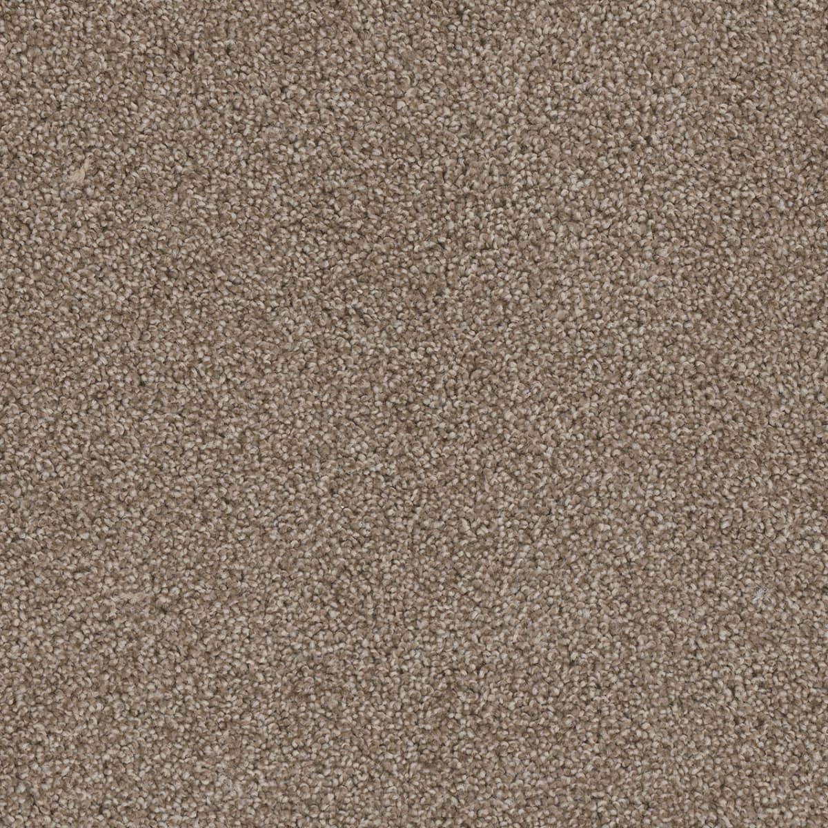Cedar Creek Buff Cedar Creek Carpet flooring