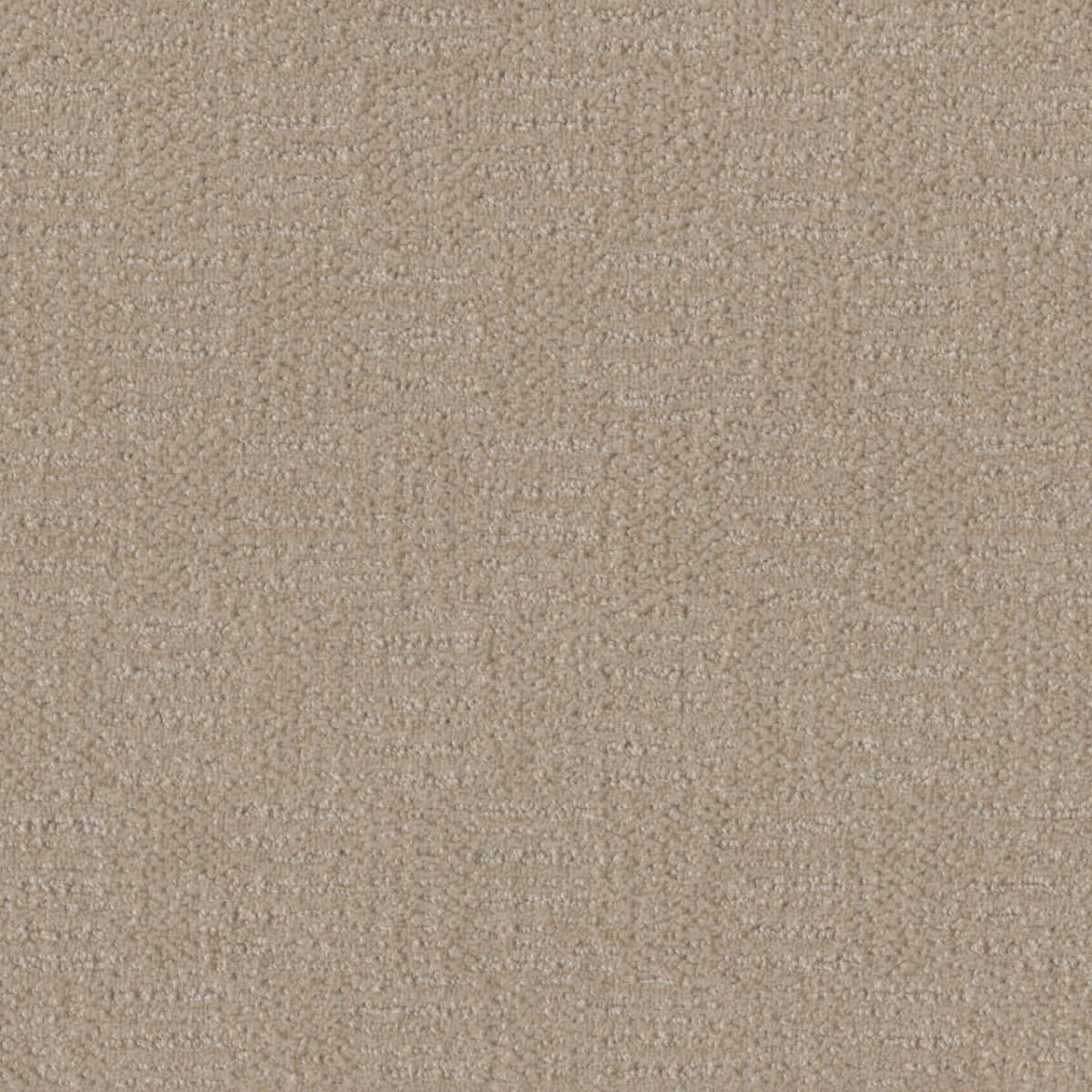 Classic Elements Frosted Coconut