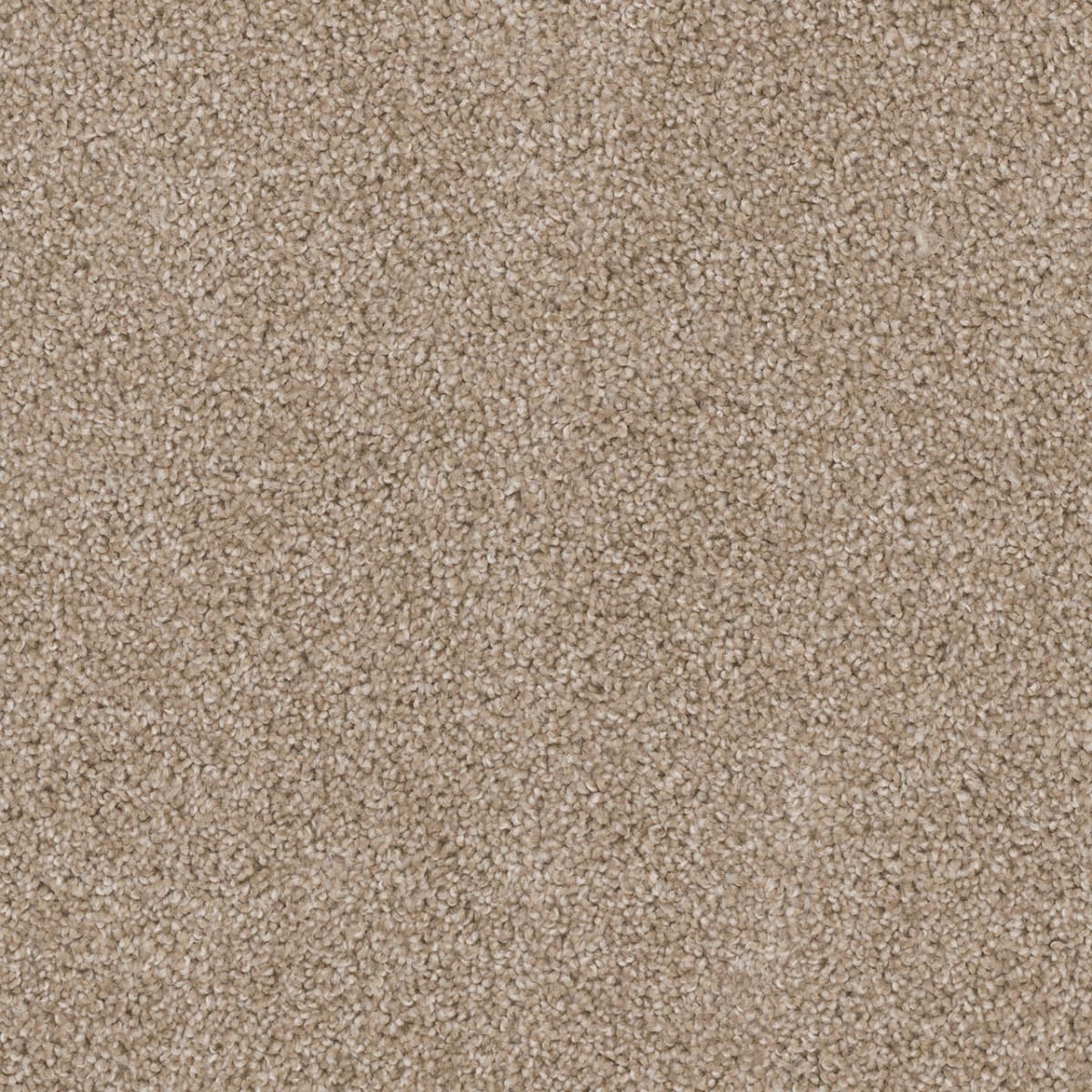 Cedar Creek Sawgrass Cedar Creek Carpet flooring