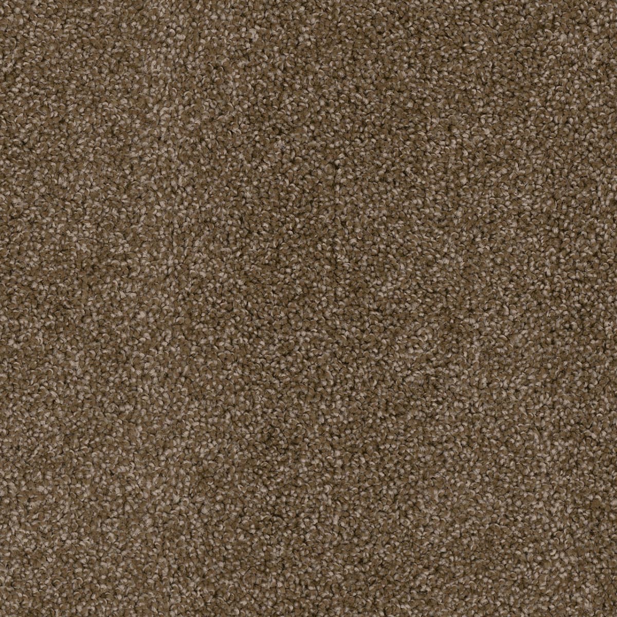 Cedar Creek Black Walnut Cedar Creek Carpet flooring
