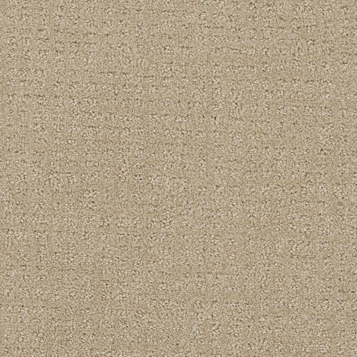 Common Ground Soft Pine Common Ground Carpet flooring