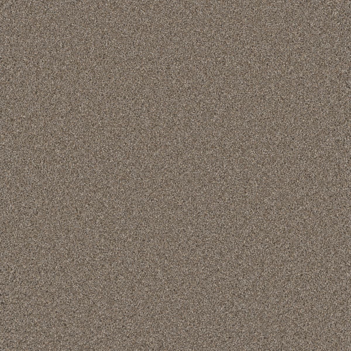 Cosmopolitan II Ash Cosmopolitan II Carpet flooring