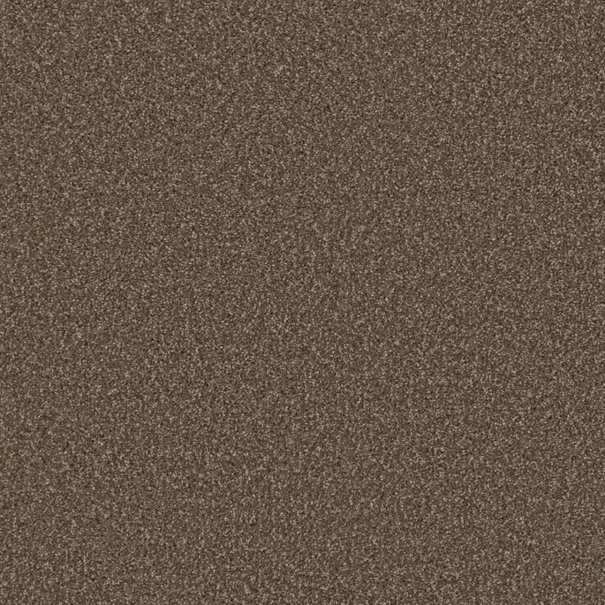 Cosmopolitan II Wynwood Cosmopolitan II Carpet flooring