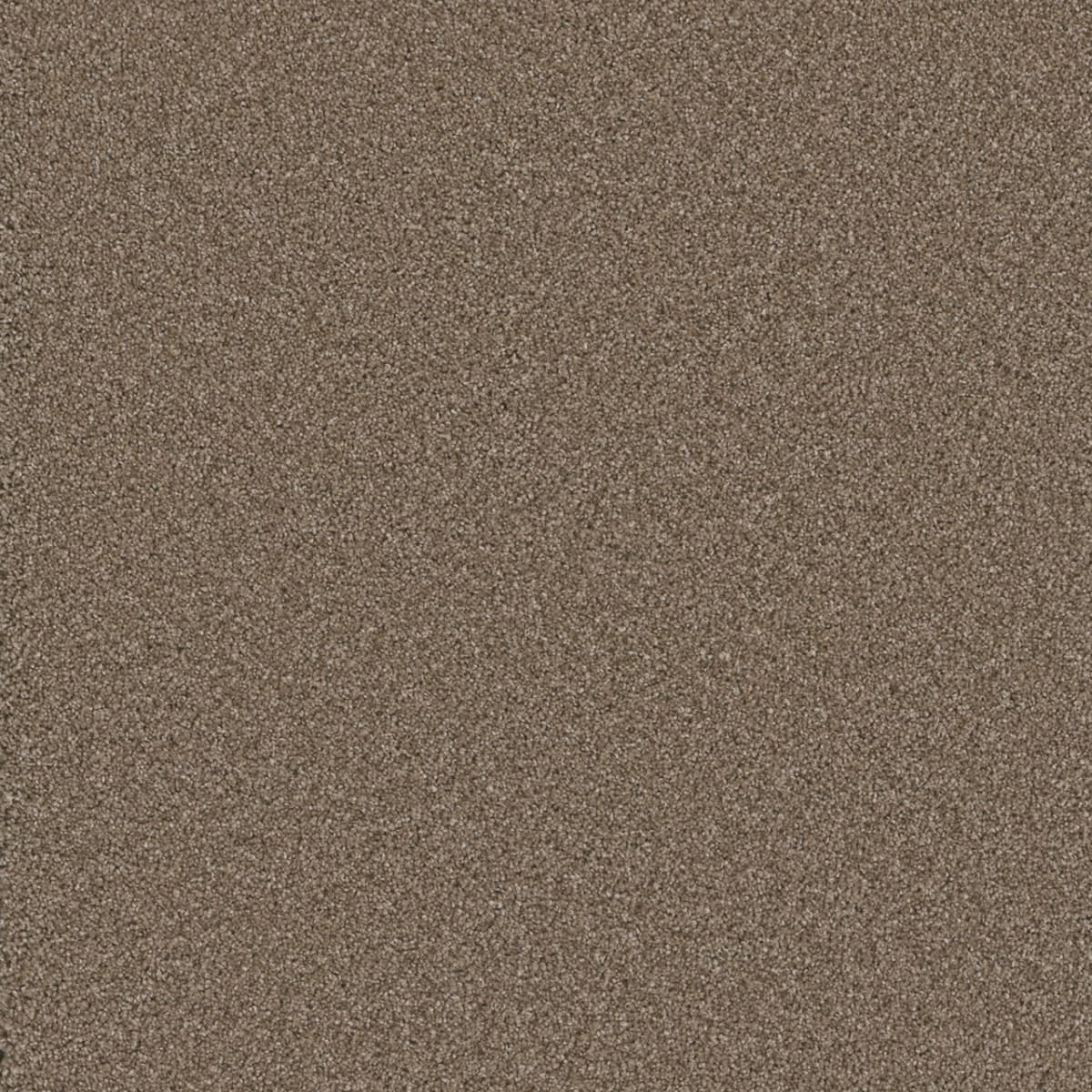 Cosmopolitan II Tumbleweed Cosmopolitan II Carpet flooring