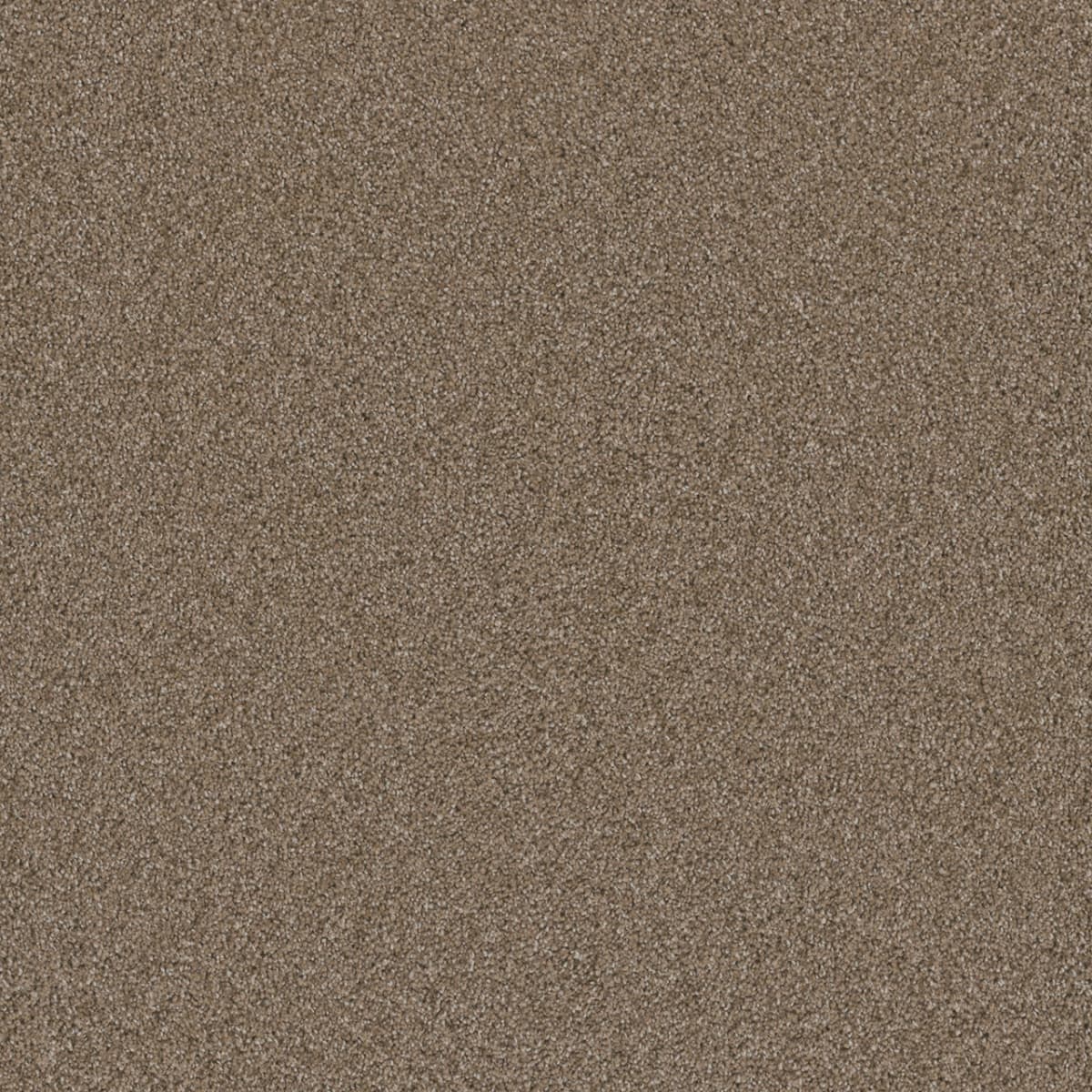 Cosmopolitan II Wicker Cosmopolitan II Carpet flooring