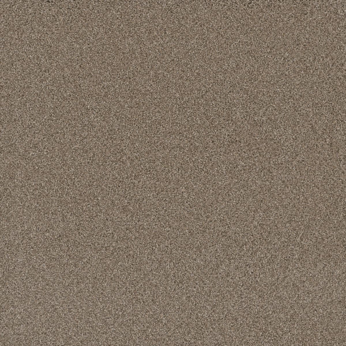 Cosmopolitan II Mocha Cosmopolitan II Carpet flooring