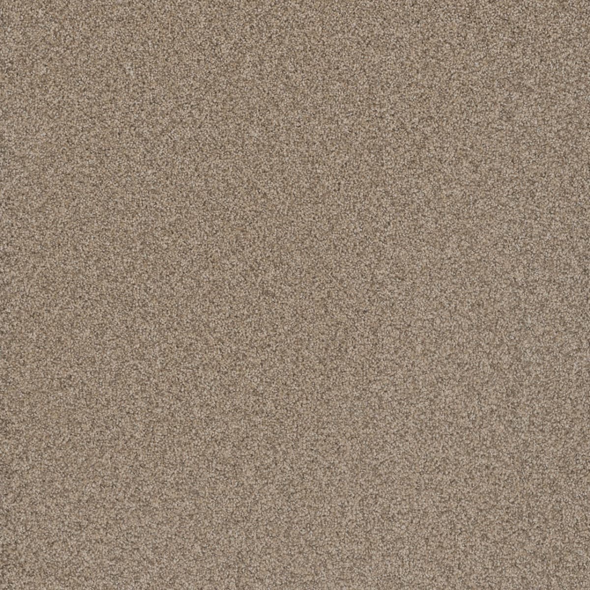 Cosmopolitan II Oxford Cosmopolitan II Carpet flooring