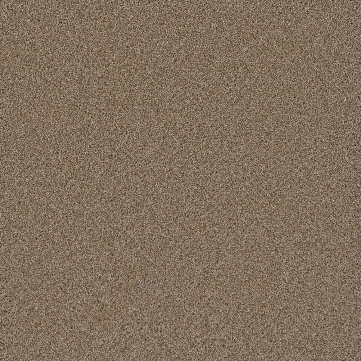 Cosmopolitan II Straw Cosmopolitan II Carpet flooring