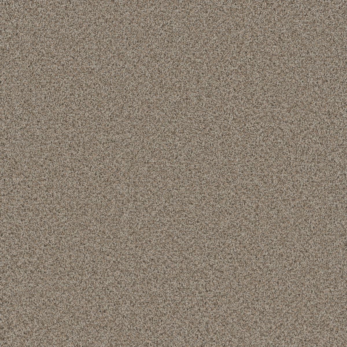 Cosmopolitan II Stucco Cosmopolitan II Carpet flooring