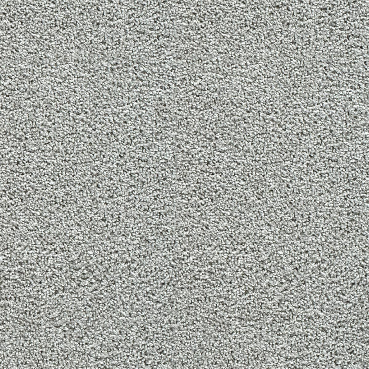 Captivating II Chilly Night Captivating II Carpet flooring