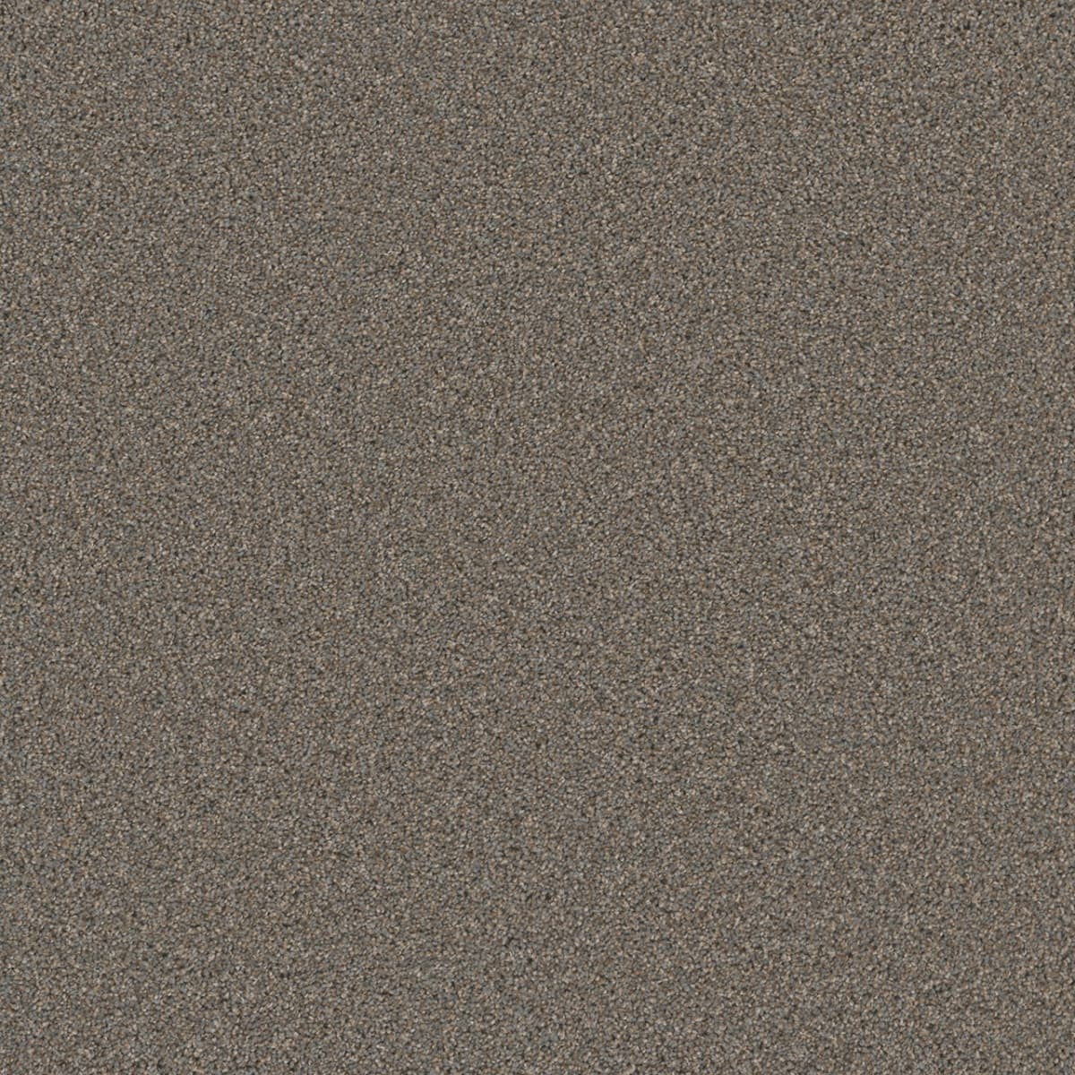 Cosmopolitan II Shadows Cosmopolitan II Carpet flooring