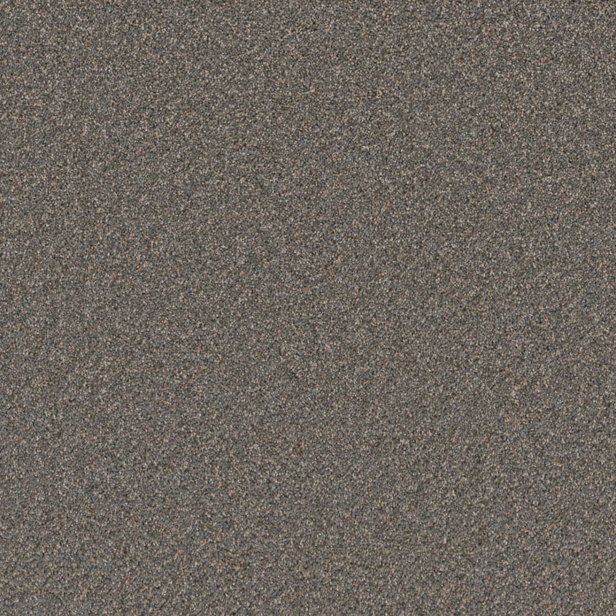 Cosmopolitan II Horizons Cosmopolitan II Carpet flooring