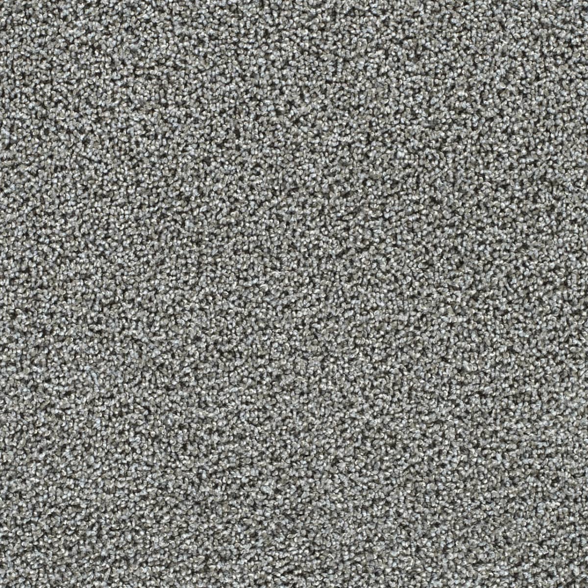 Captivating II Beach Lava Captivating II Carpet flooring