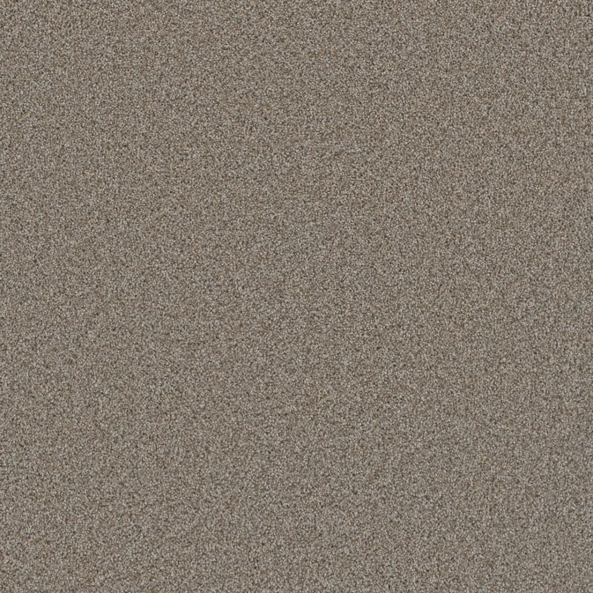 Cosmopolitan II Iron Frost Cosmopolitan II Carpet flooring