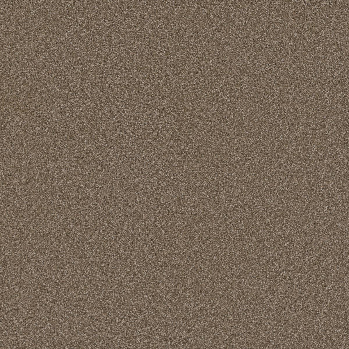 Cosmopolitan II Carpet flooring collection