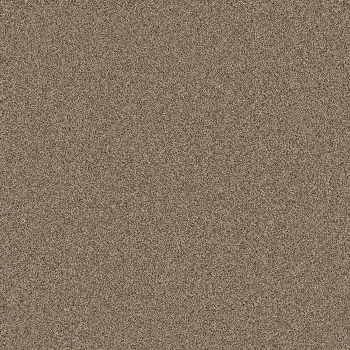 Cosmopolitan II Ginger Cosmopolitan II Carpet flooring