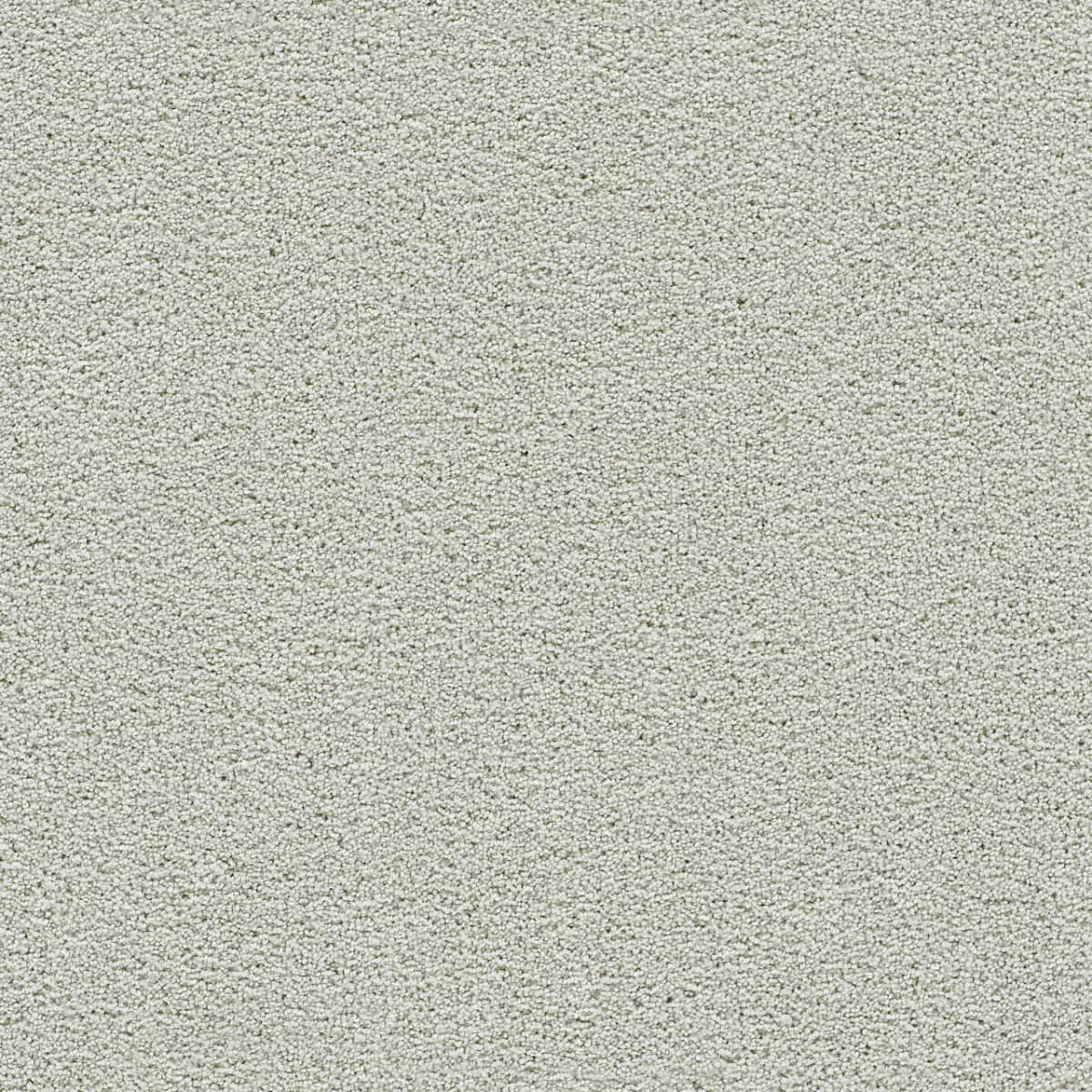 Clear Skies III Snowbird Clear Skies III Carpet flooring