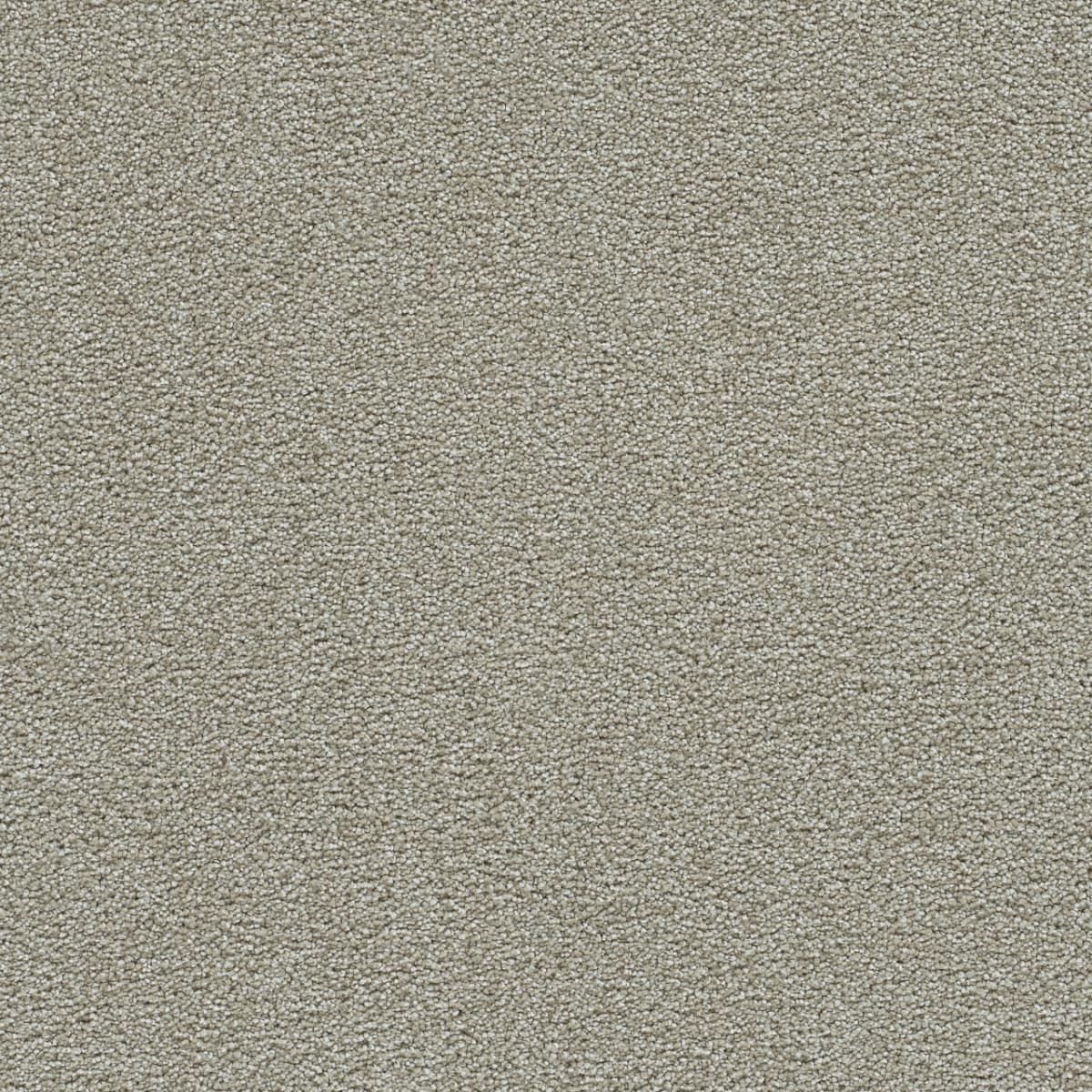 Clearwater III August Grove Clearwater III Carpet flooring