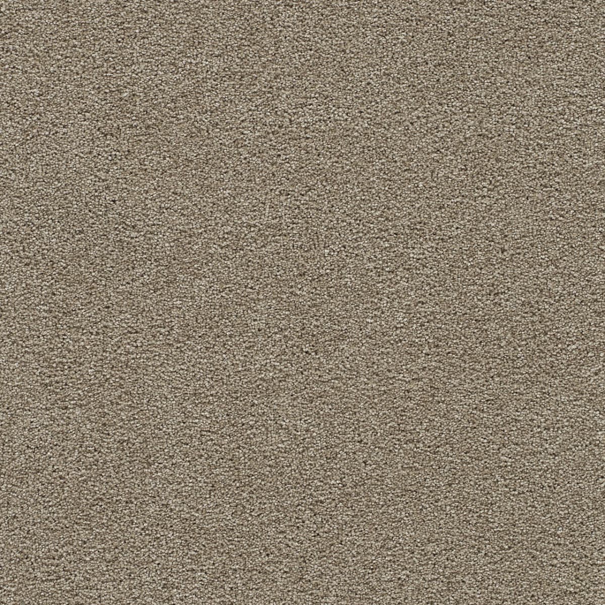 Clear Skies III Warm Teak Clear Skies III Carpet flooring