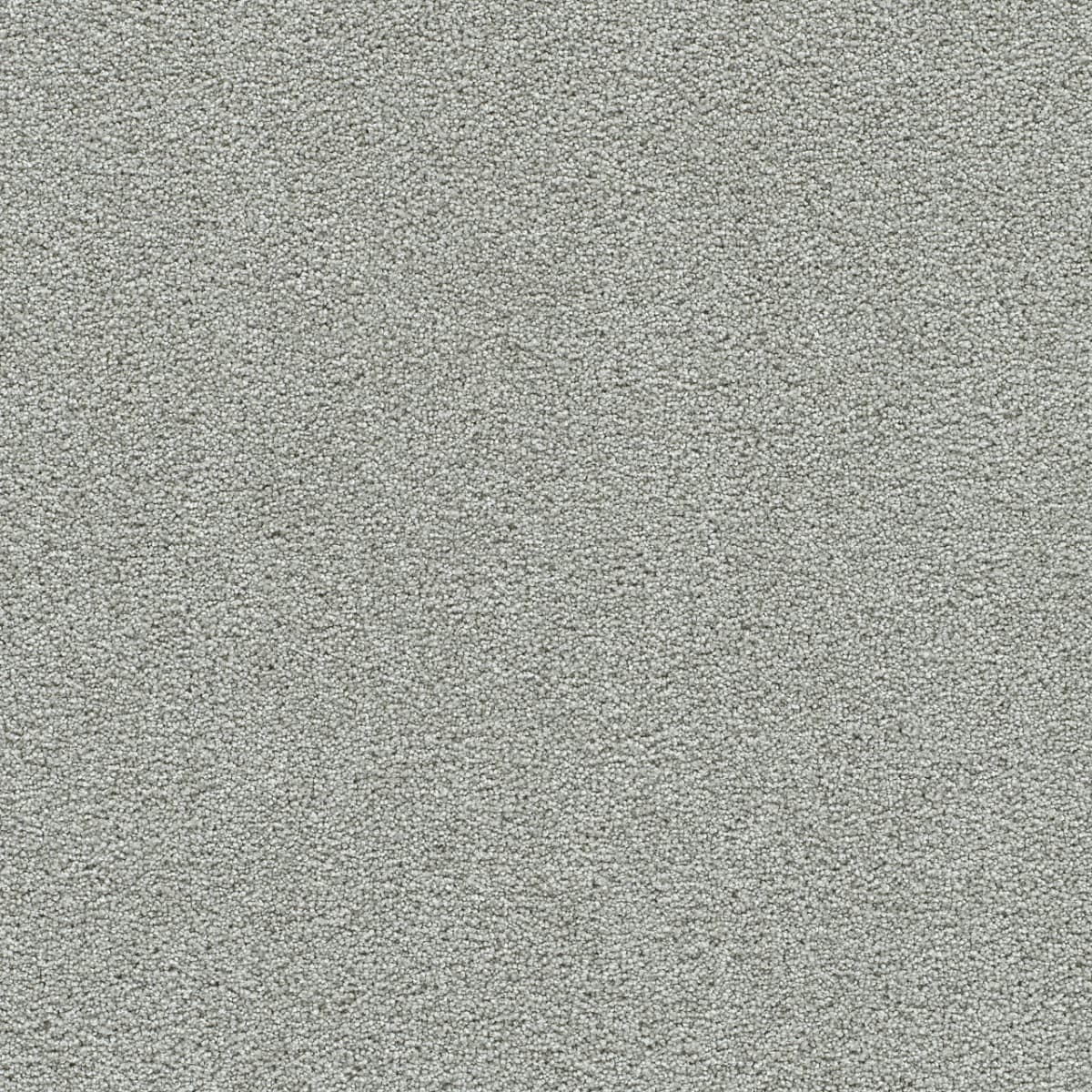 Clear Skies III Pinetop Clear Skies III Carpet flooring
