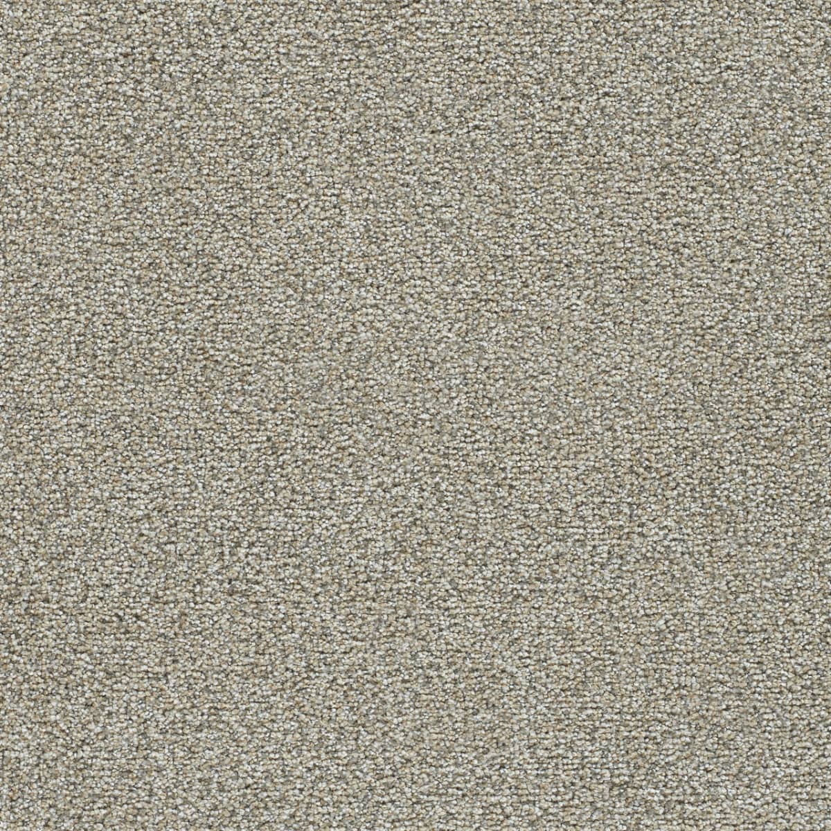 Clearwater III Kindling