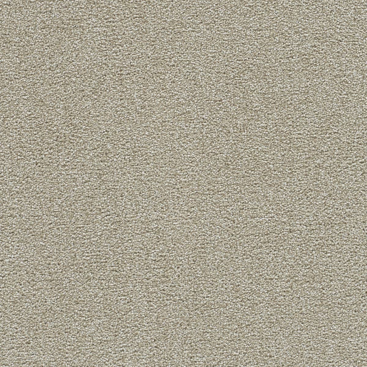 Clearwater III Wheat Grass