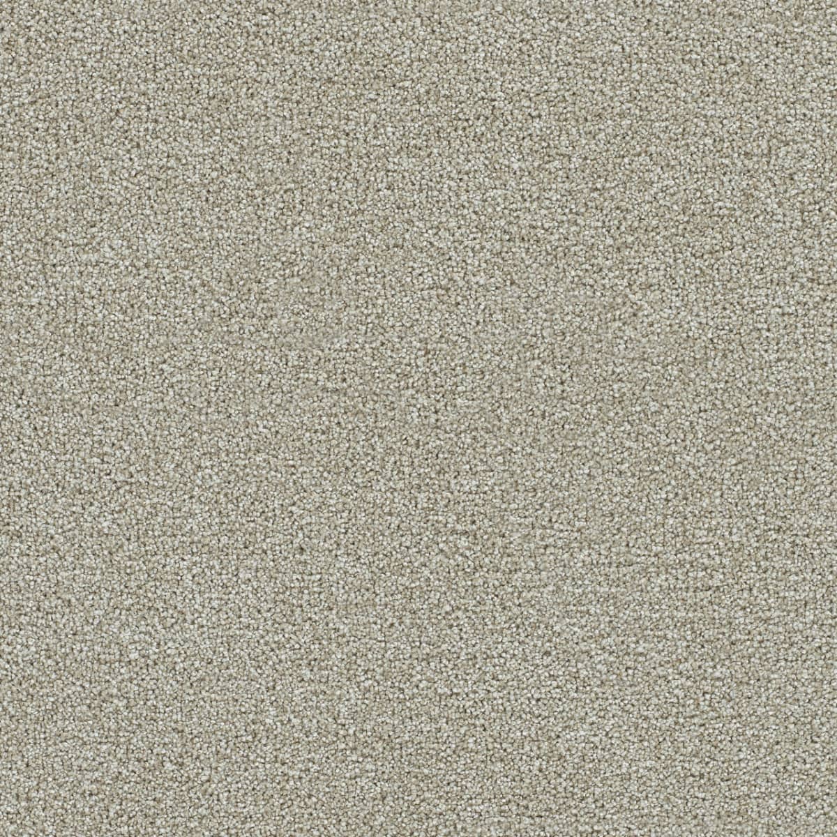 Clearwater III Barnwood Clearwater III Carpet flooring