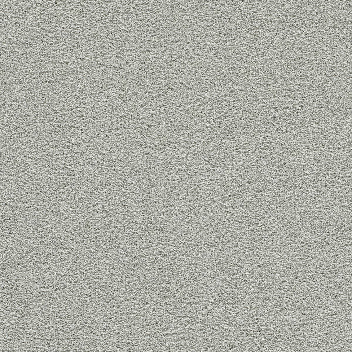 Clear Skies III Dove Cove Clear Skies III Carpet flooring