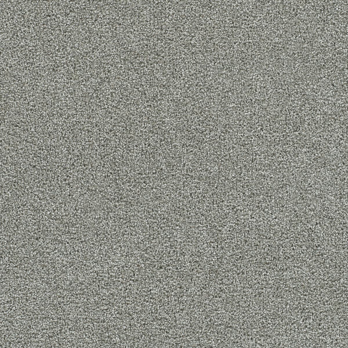 Clearwater III Creek Bend