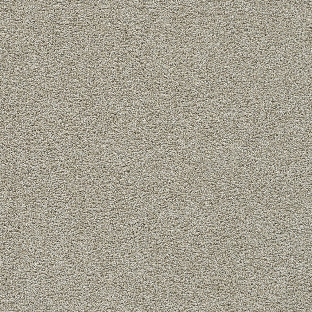 Clear Skies III Honeycomb Clear Skies III Carpet flooring