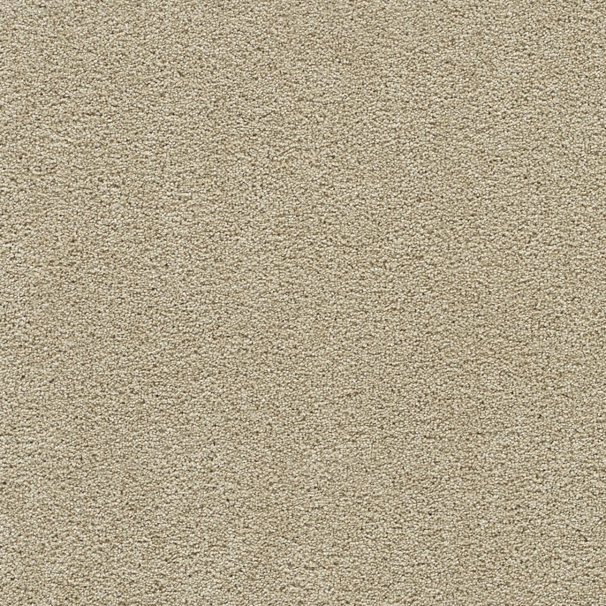 Clear Skies III Blush Clear Skies III Carpet flooring