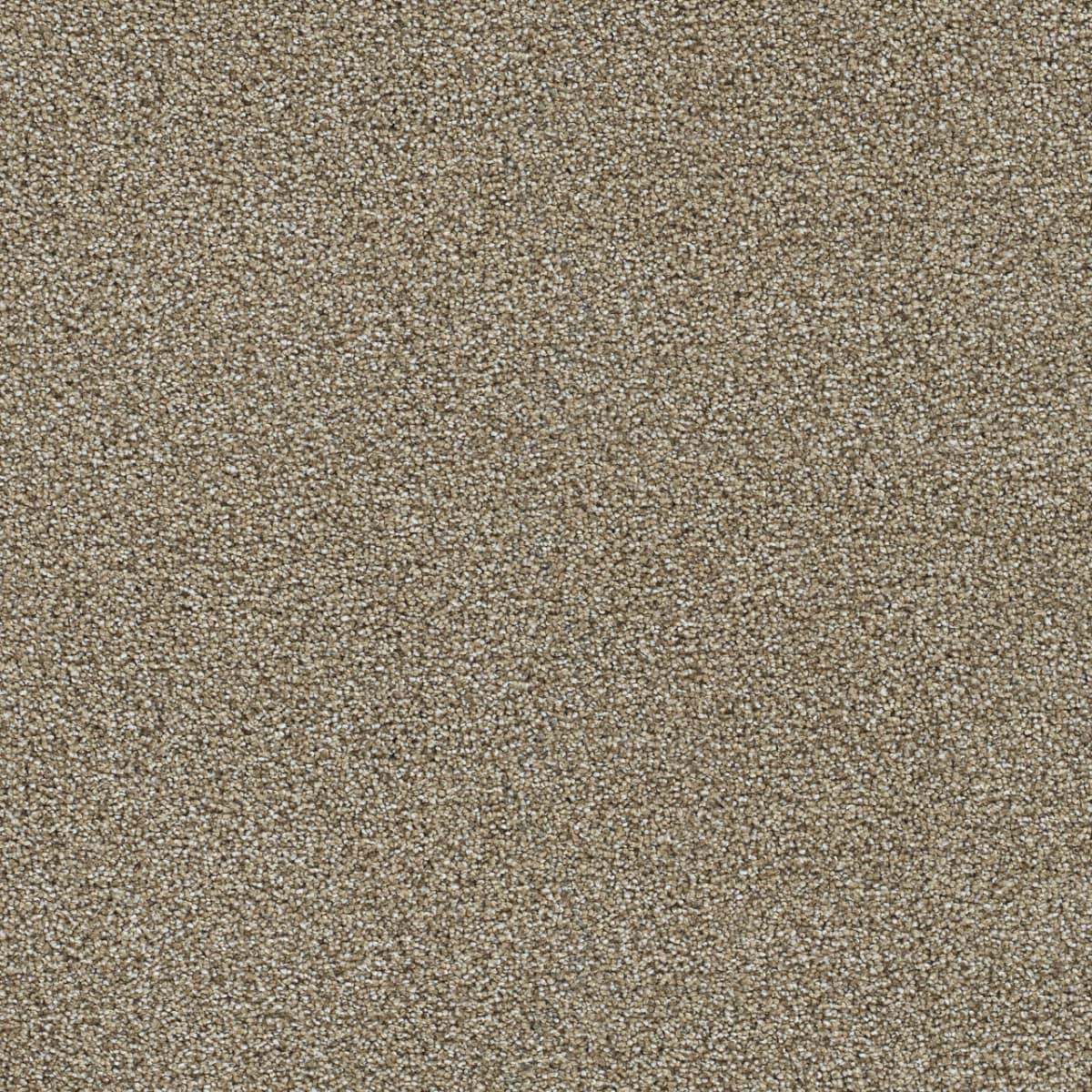 Clearwater III Toasted Oat