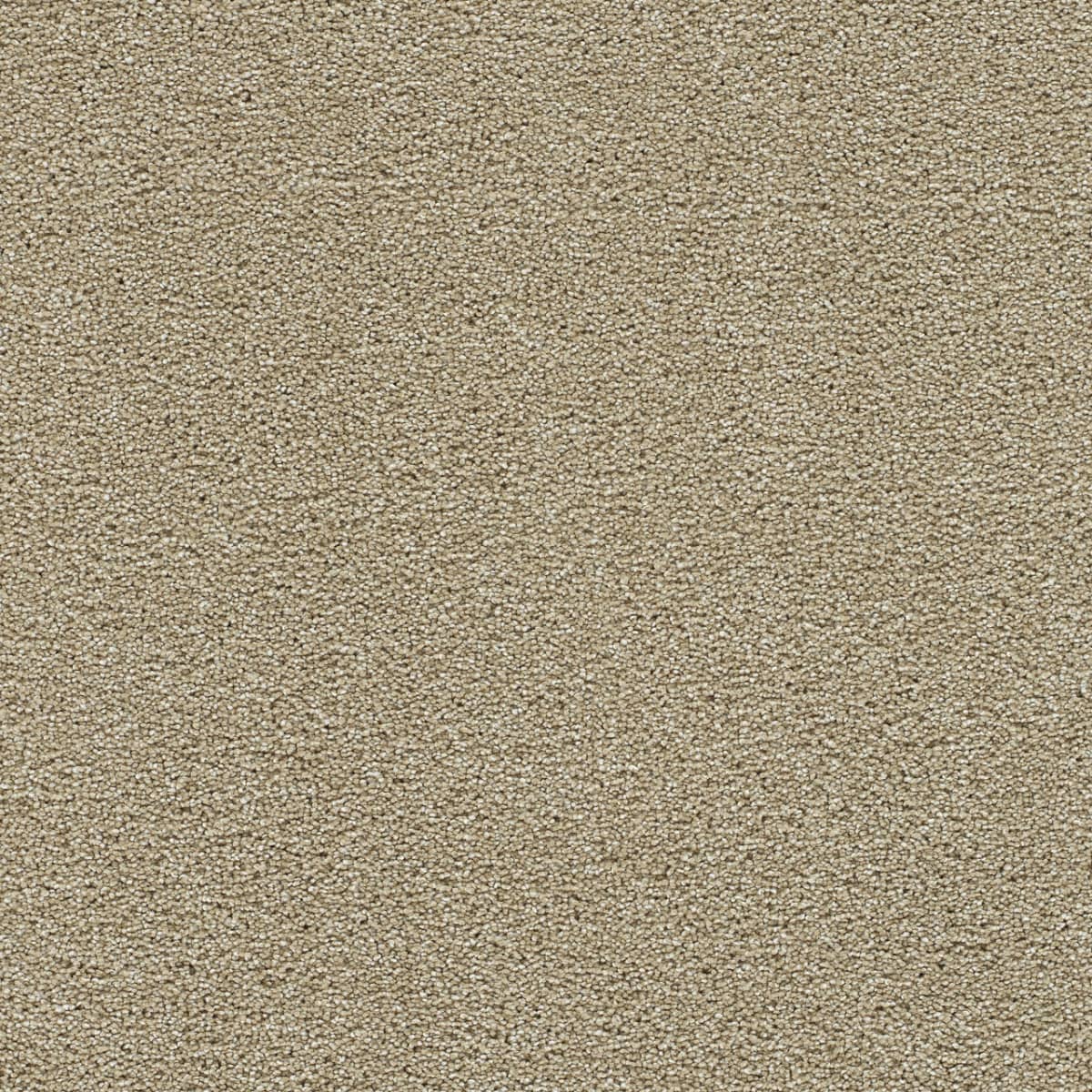 Clearwater I Sunflower