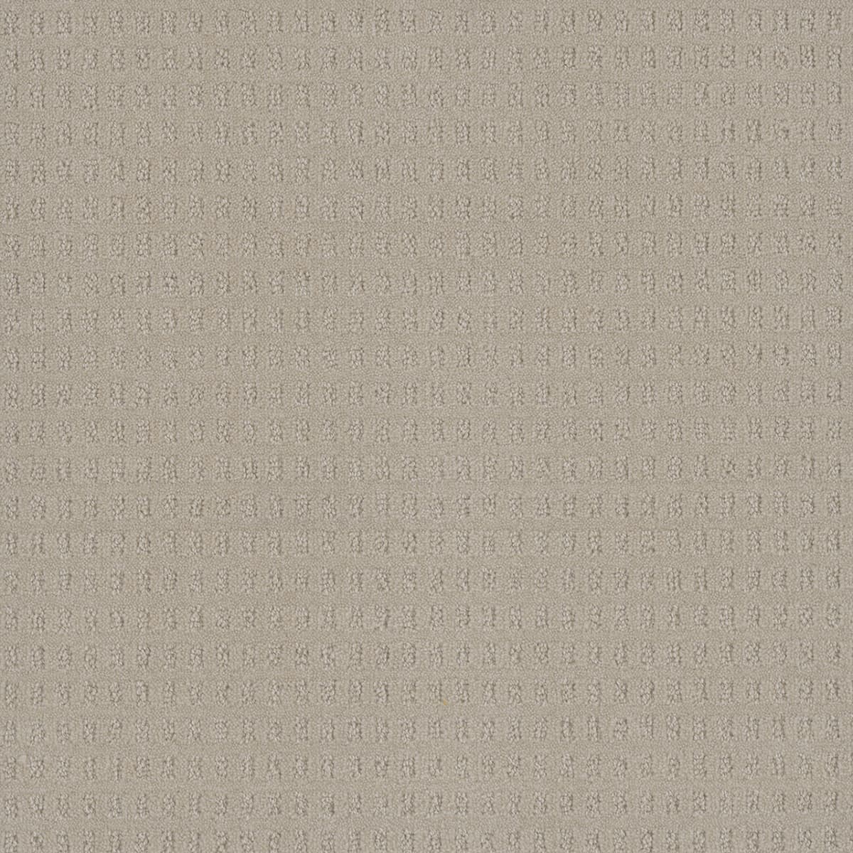 Caspian Champagne Fizz Caspian Carpet flooring