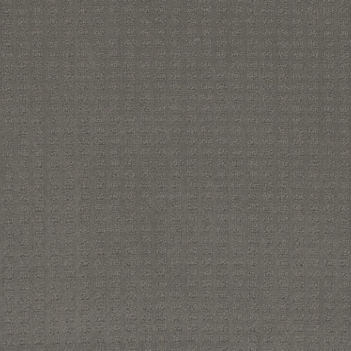 Caspian Timber Ridge Caspian Carpet flooring