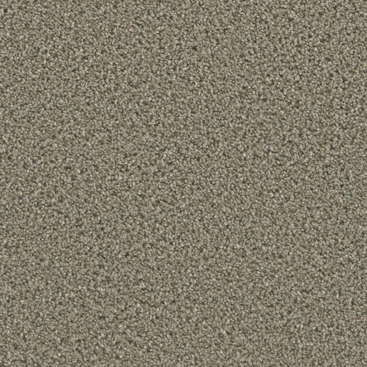 Dazzling Ash Dazzling Carpet flooring