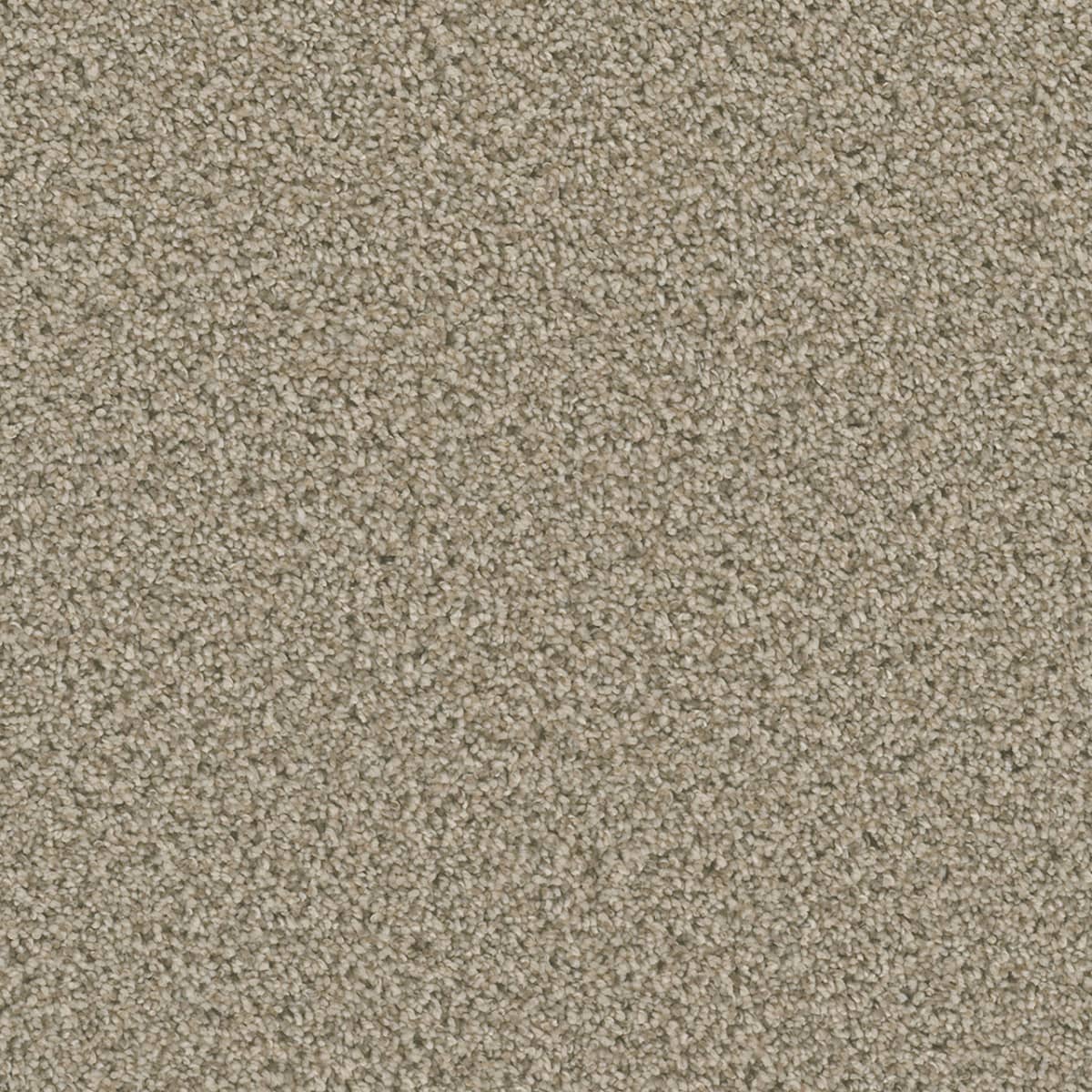 Dazzling Linen Dazzling Carpet flooring