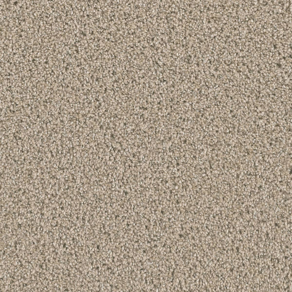 Dazzling Ginger Dazzling Carpet flooring