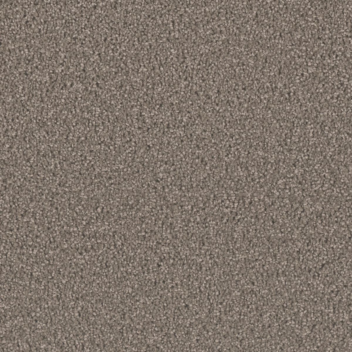 Exceptional II Riverbed