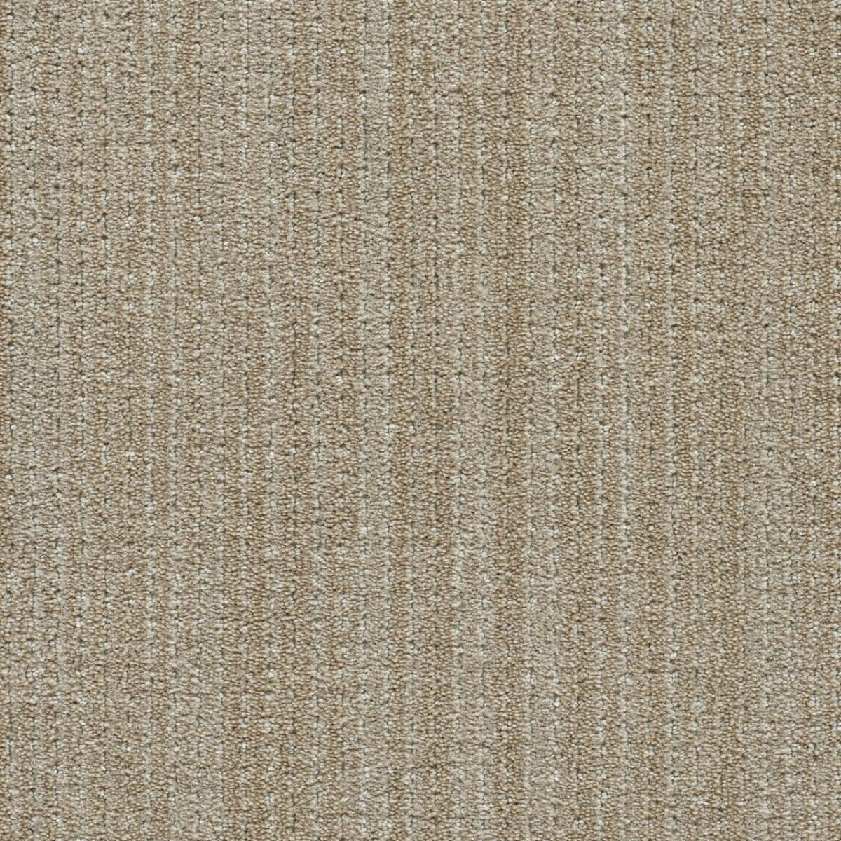Davos II Elk Point Davos II Carpet flooring