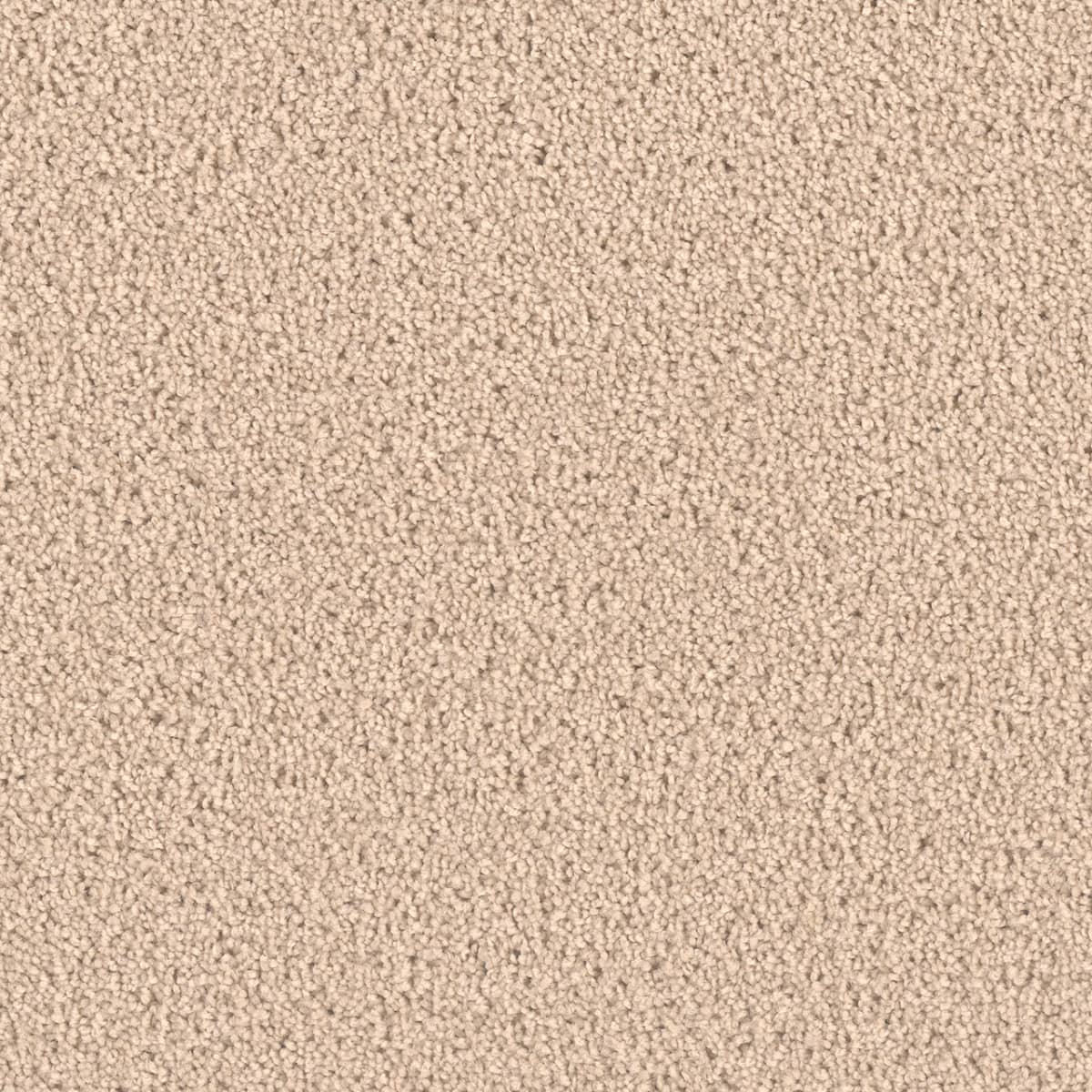 Exceptional II Eggshell