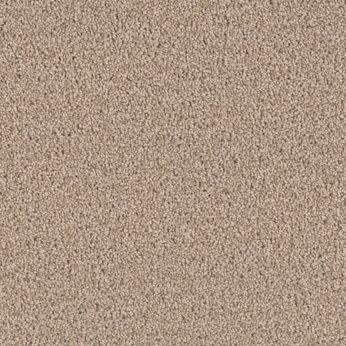 Exceptional II Hazlenut Cream