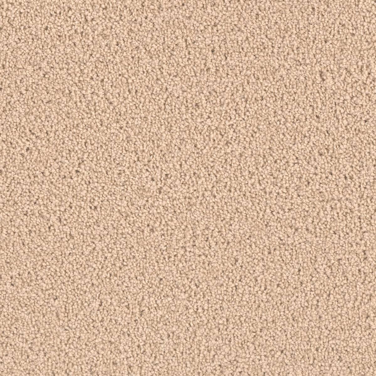 Exceptional II Cookie Dough