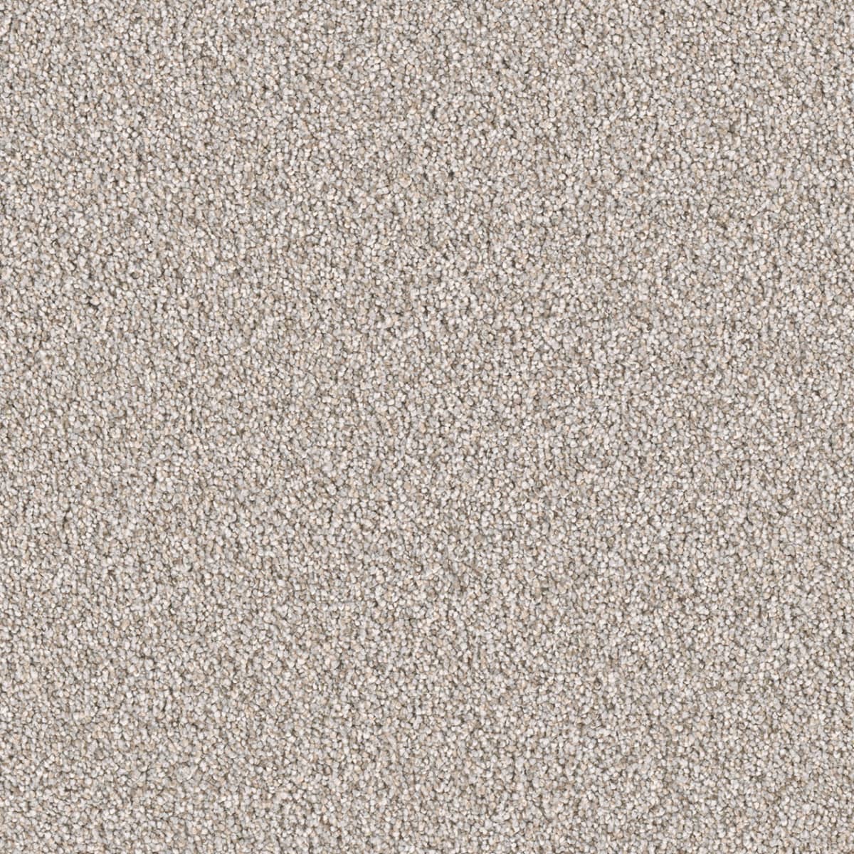 East Hampton Iron Frost